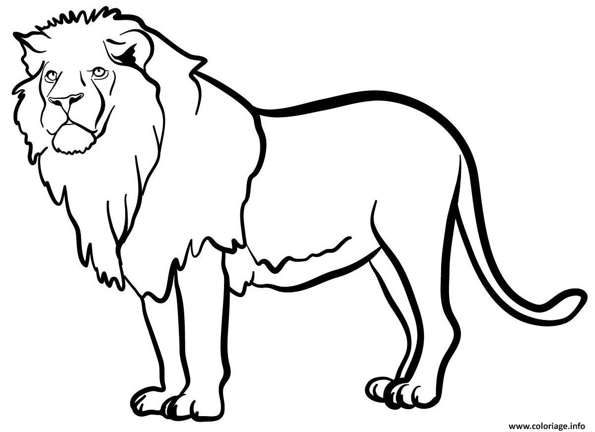 Coloriage Lion Animal Sauvage Mammifere Carnivores Dessin à Imprimer